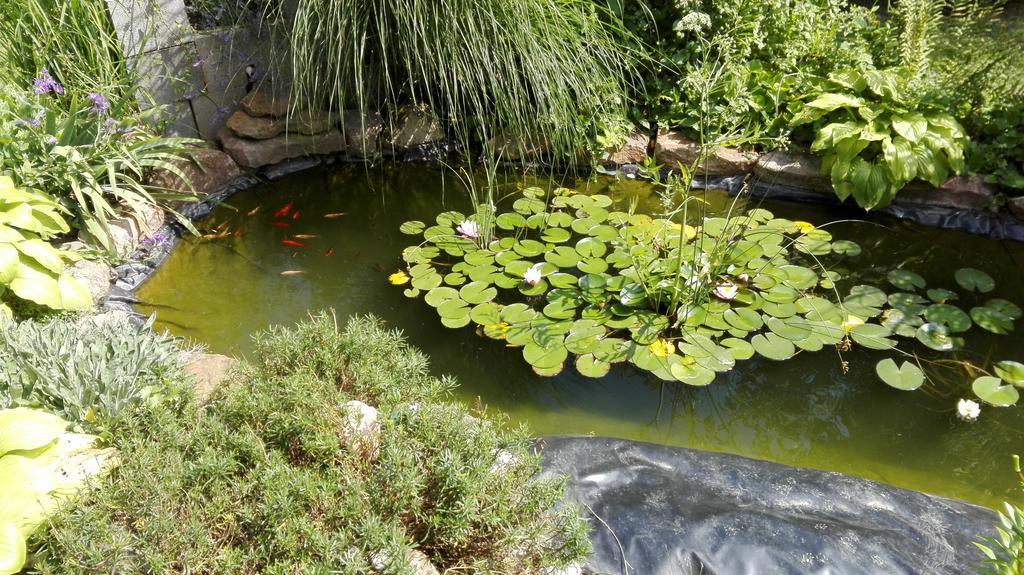 Kis Teniszhaz Ordacsehi Bagian luar foto